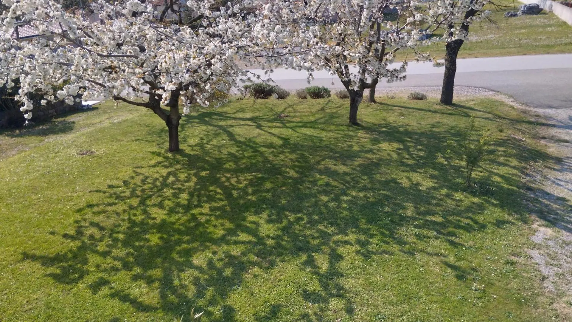 Daal Lägenhet Roč Kroatien